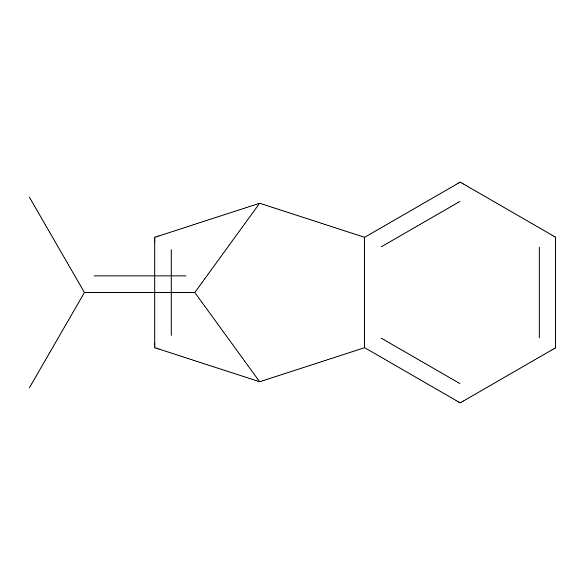 1,4-Dihydro-methylethylidene-1,4-methanonaphthalene molecular structure, CAS 7350-72-3