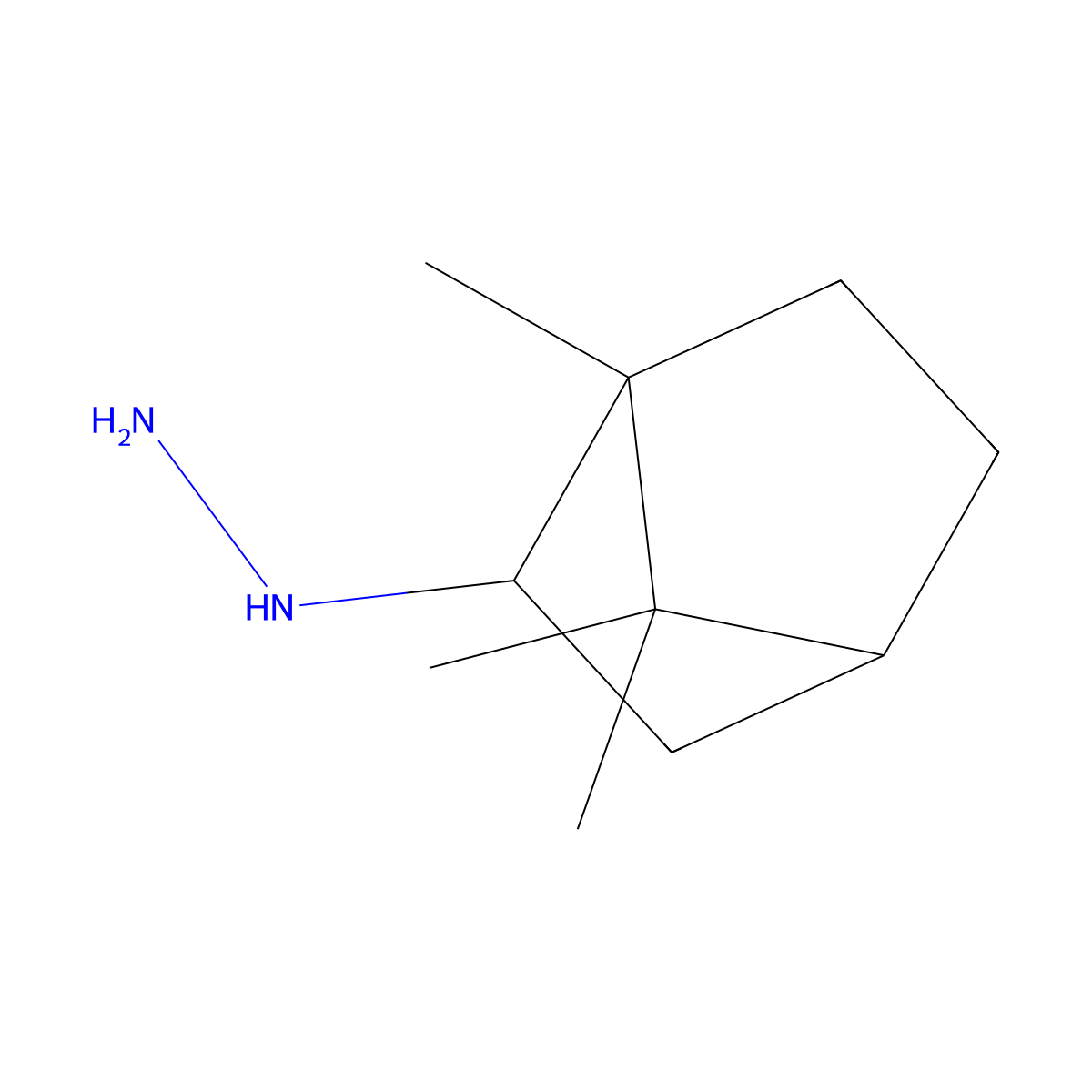 {1,7,7-Trimethylbicyclo[2.2.1]heptan-2-yl}hydrazine molecular structure, CAS 743380-66-7