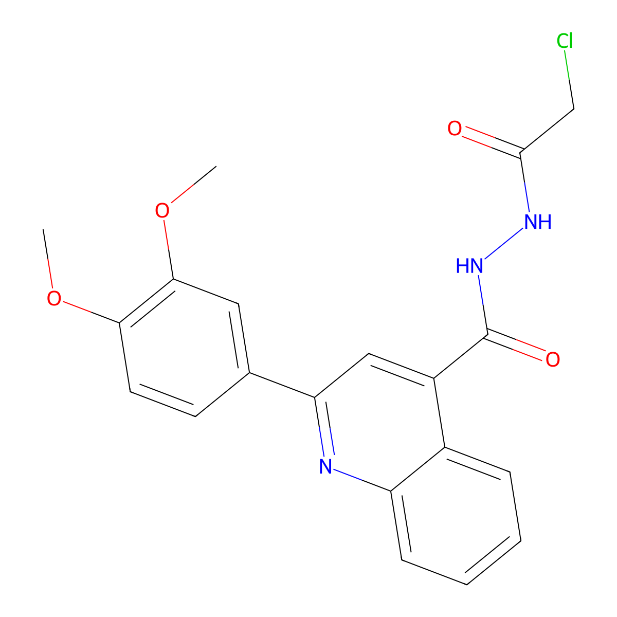 N'-(2-chloroacetyl)-2-(3,4-dimethoxyphenyl)quinoline-4-carbohydrazide molecular structure, CAS 743444-32-8