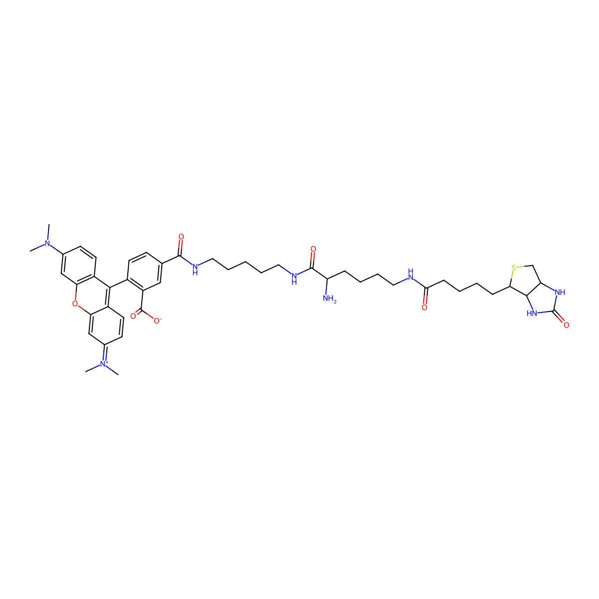 TMR Biocytin molecular structure, CAS 749247-49-2