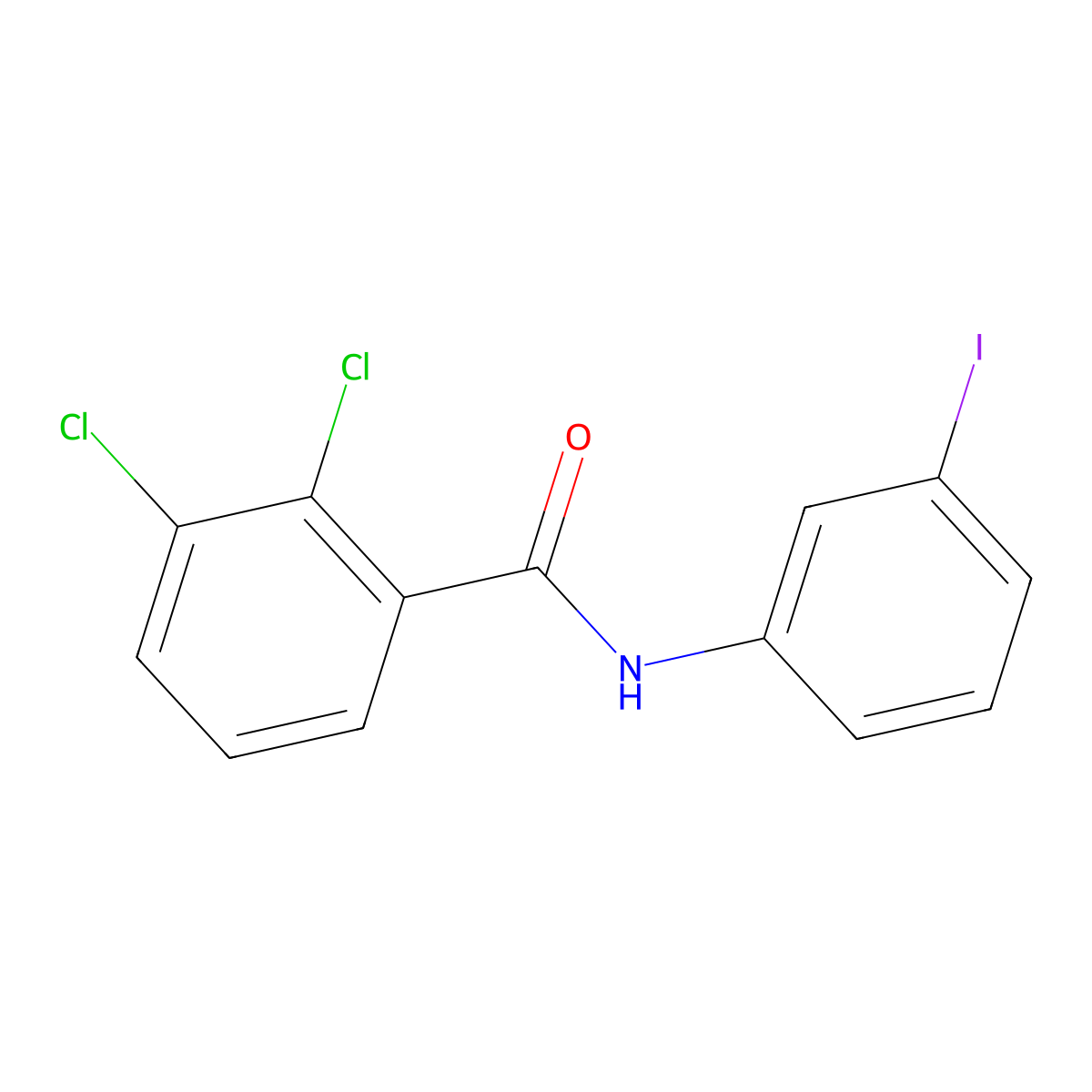 2,3-dichloro-N-(3-iodophenyl)benzamide molecular structure, CAS 749893-28-5