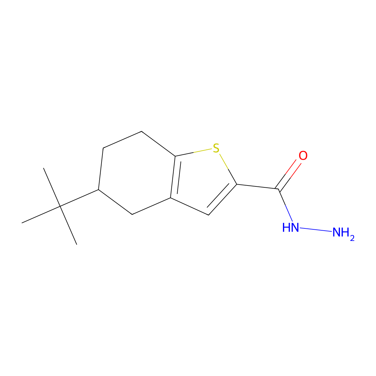 5-Tert-butyl-4,5,6,7-tetrahydro-1-benzothiophene-2-carbohydrazide molecular structure, CAS 749906-98-7