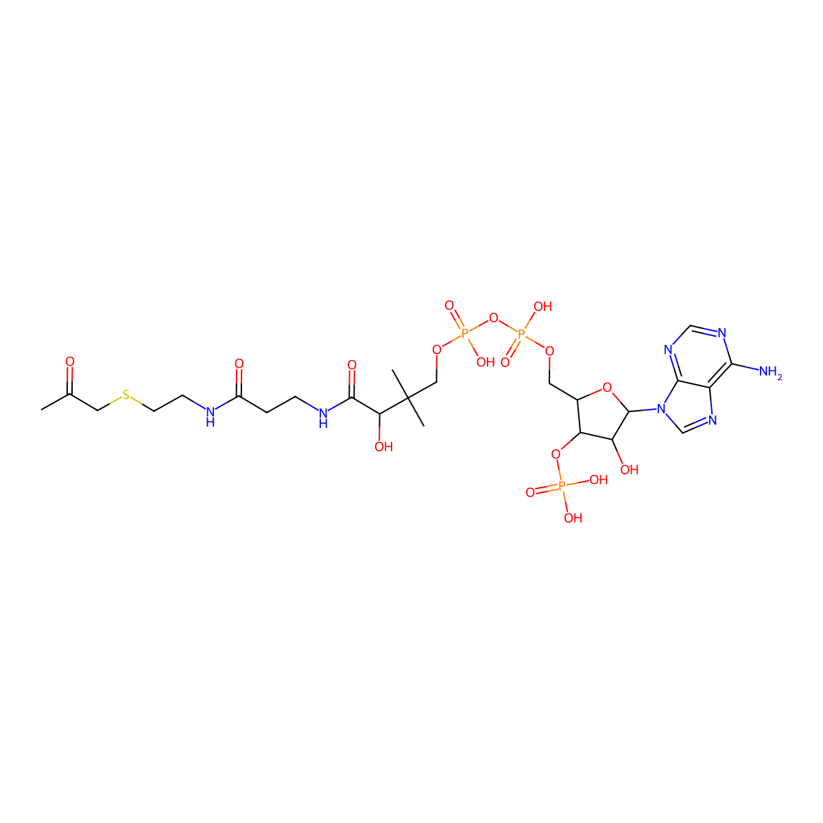 Acetonyl-coenzyme A molecular structure, CAS 75179-85-0