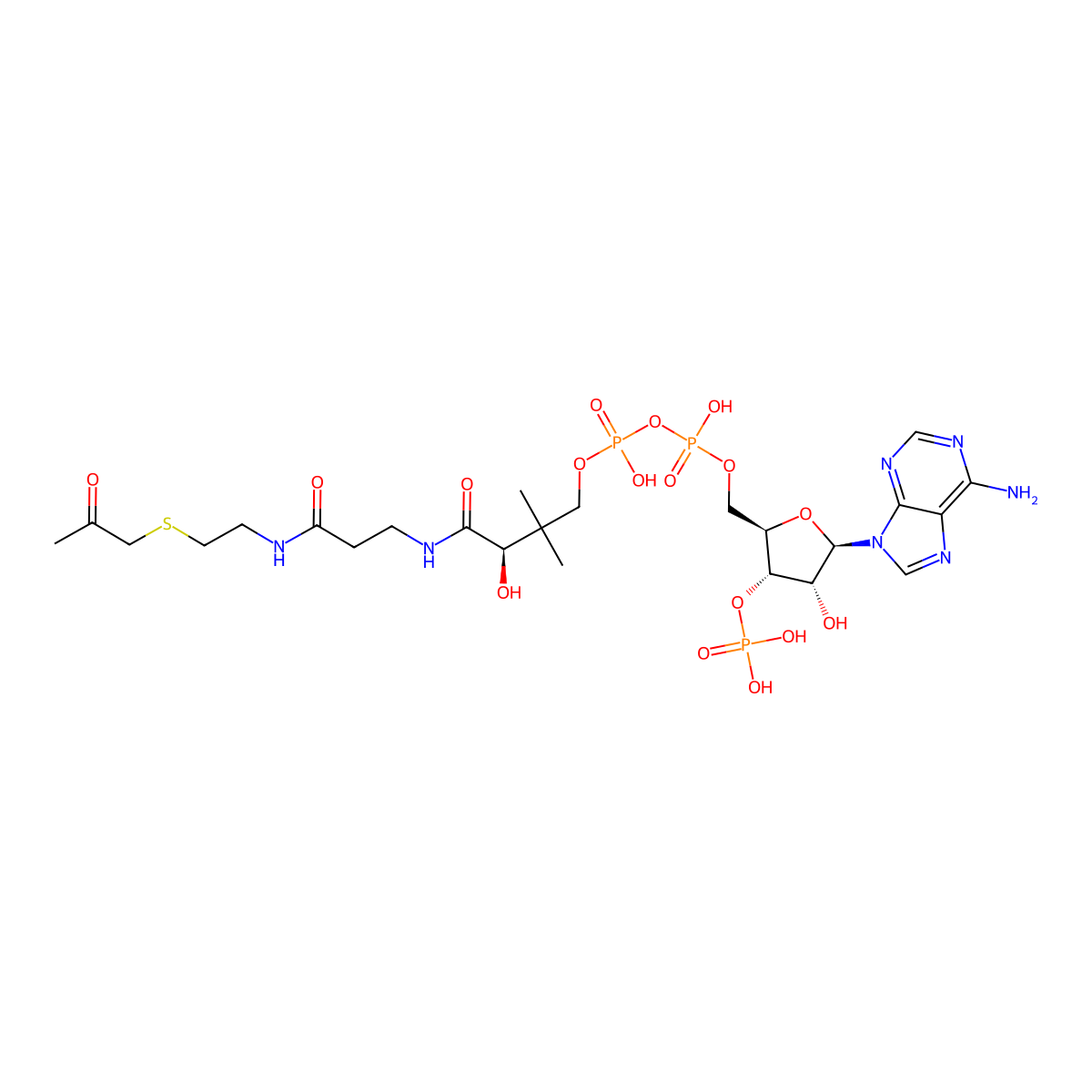 Acetonyl-coenzyme A molecular structure, CAS 75179-85-0