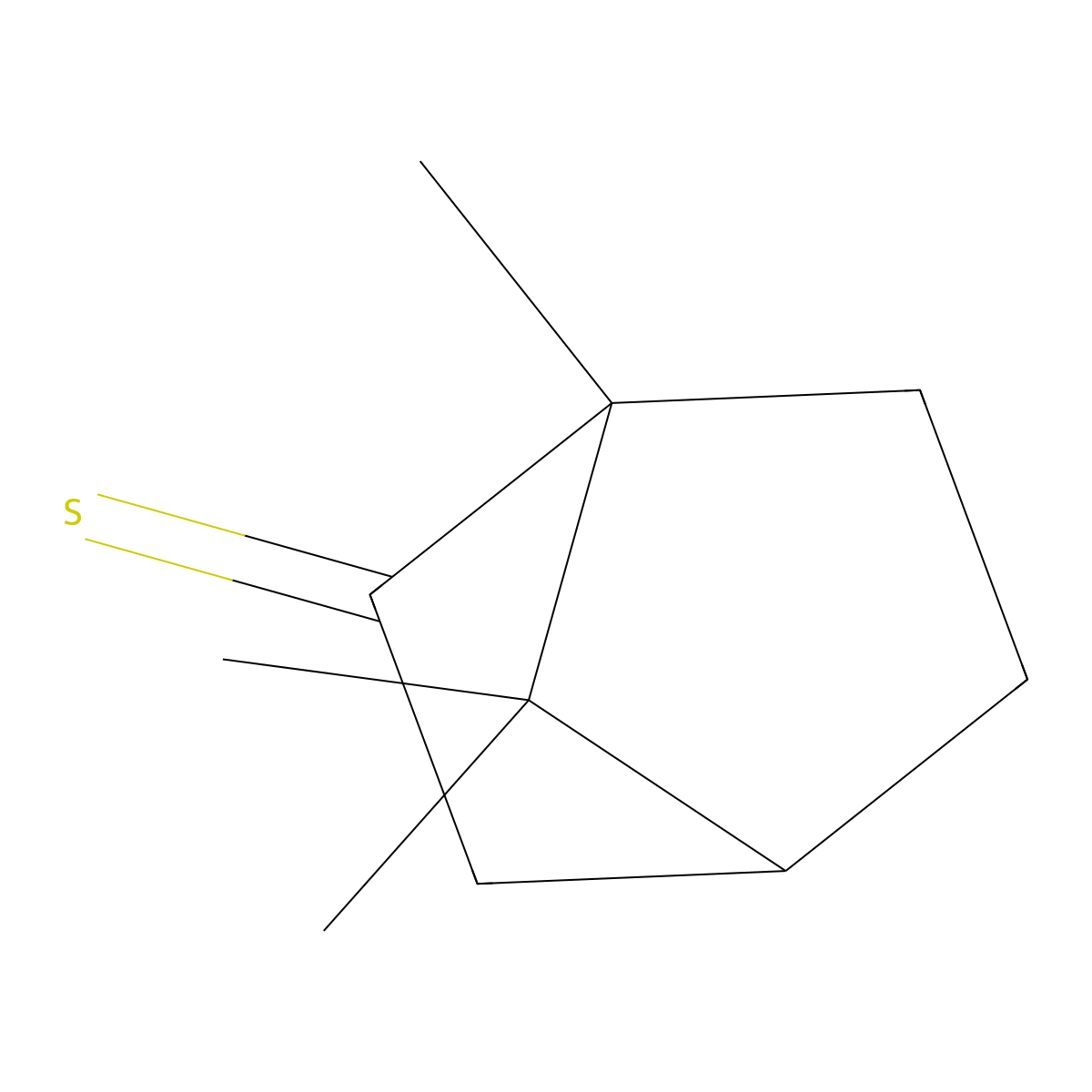 Thiocamphor molecular structure, CAS 7519-74-6