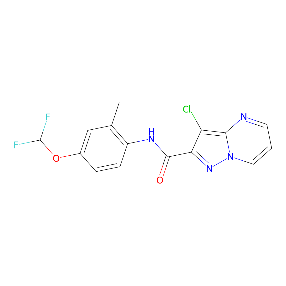 3-chloro-N-[4-(difluoromethoxy)-2-methylphenyl]pyrazolo[1,5-a]pyrimidine-2-carboxamide molecular structure, CAS 754193-43-6