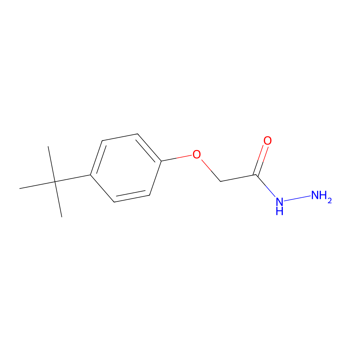 2-(4-Tert-butylphenoxy)acetohydrazide molecular structure, CAS 75843-50-4