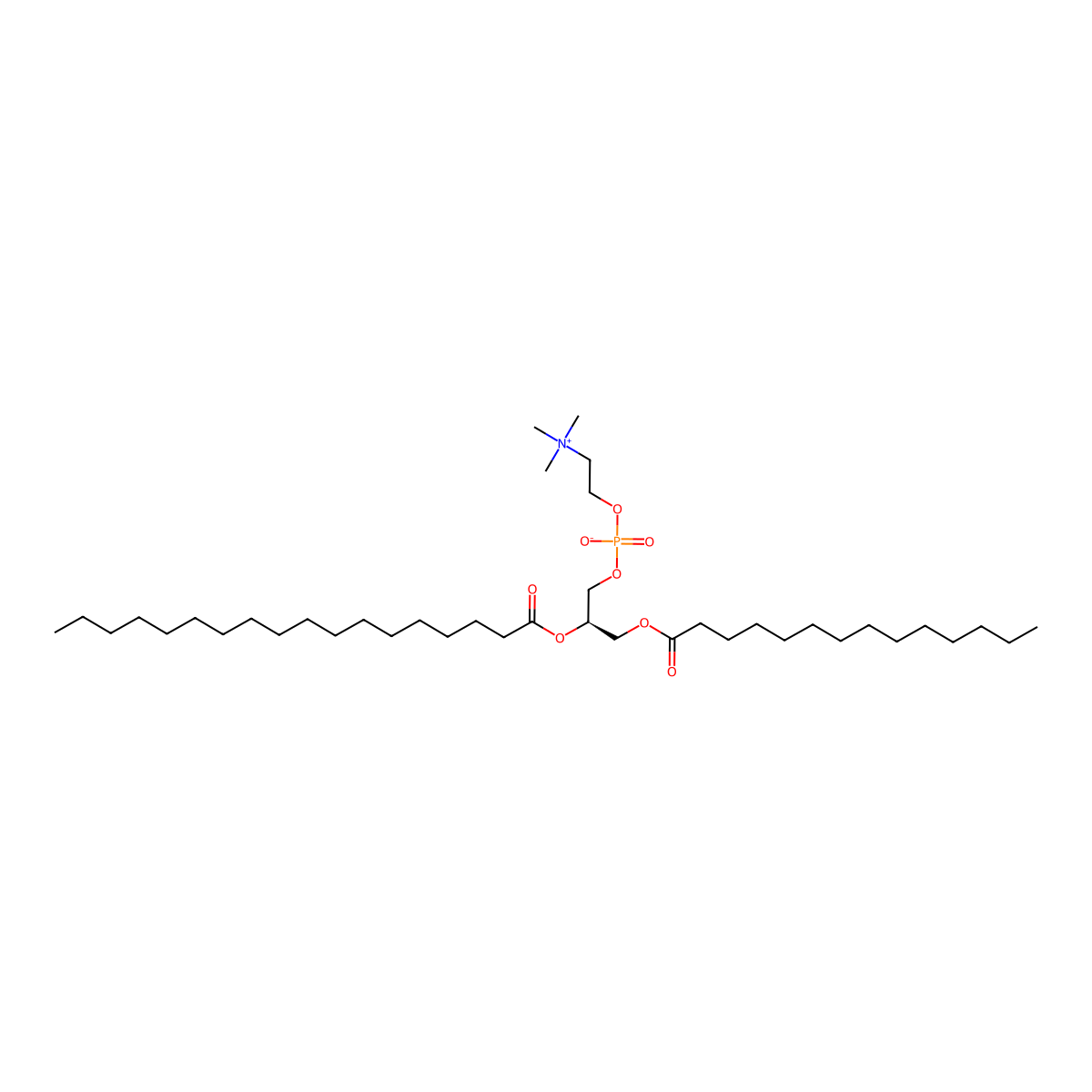 1-Myristoyl-2-stearoylphosphatidylcholine molecular structure, CAS 76343-22-1