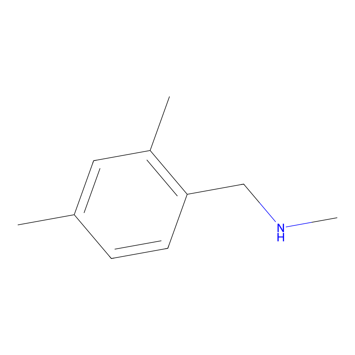 N-(2,4-dimethylbenzyl)-N-methylamine molecular structure, CAS 766502-85-6