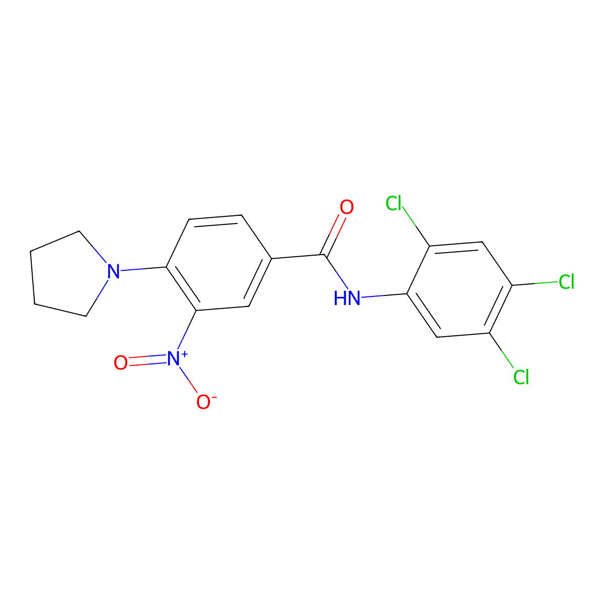 3-nitro-4-pyrrolidin-1-yl-N-(2,4,5-trichlorophenyl)benzamide molecular structure, CAS 767316-28-9