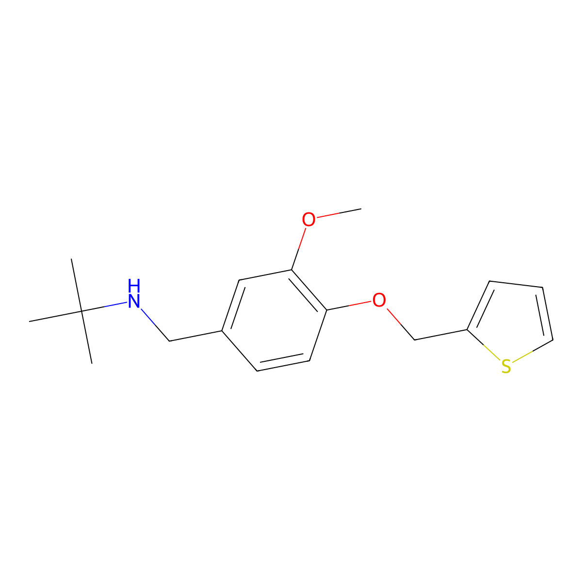 N-(tert-butyl)-N-[3-methoxy-4-(2-thienylmethoxy)benzyl]amine molecular structure, CAS 774191-39-8