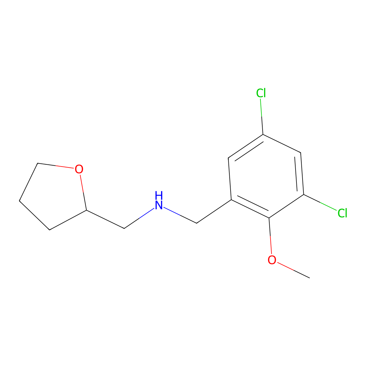N-(3,5-dichloro-2-methoxybenzyl)-N-(tetrahydro-2-furanylmethyl)amine molecular structure, CAS 774546-24-6