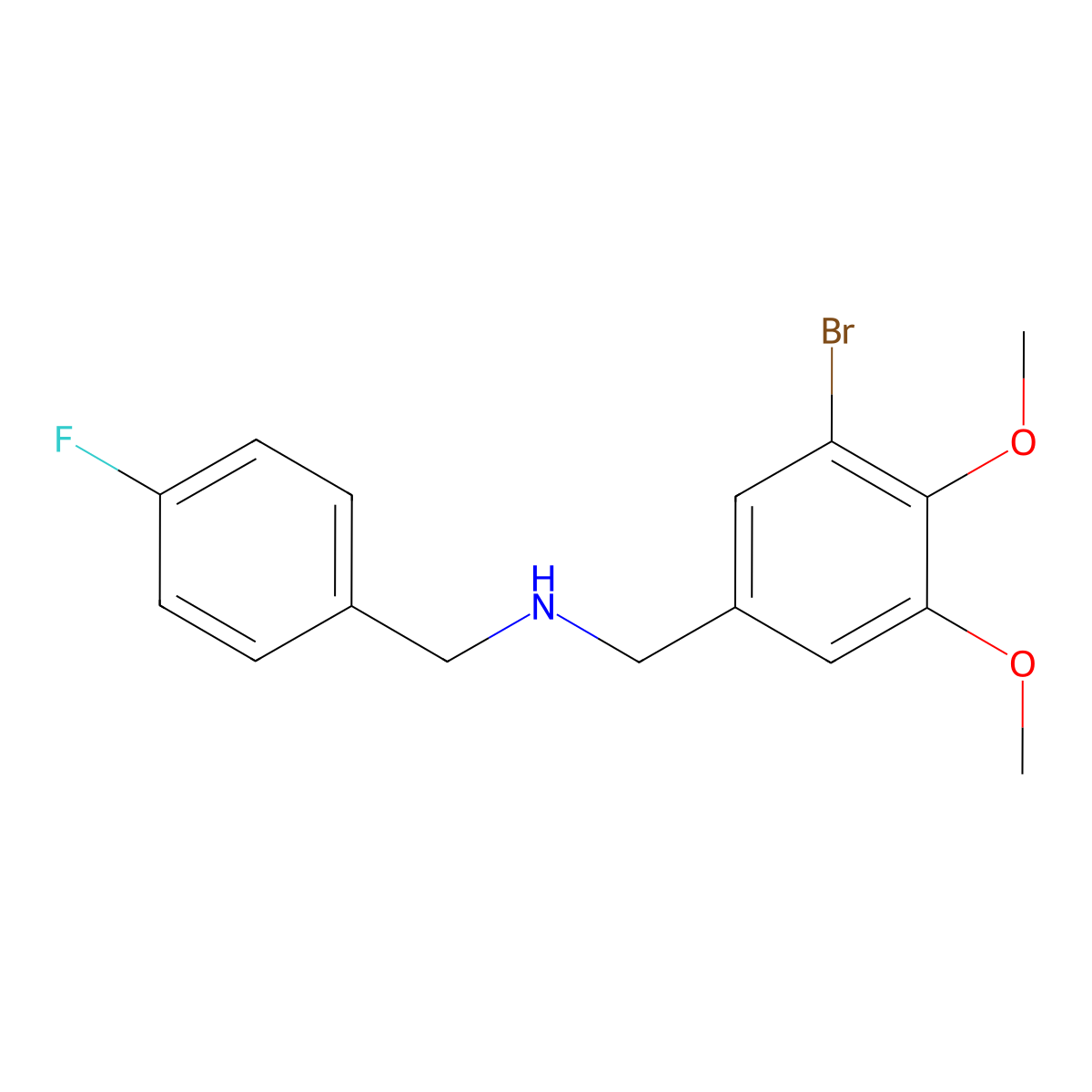 N-(3-bromo-4,5-dimethoxybenzyl)-N-(4-fluorobenzyl)amine molecular structure, CAS 774550-75-3
