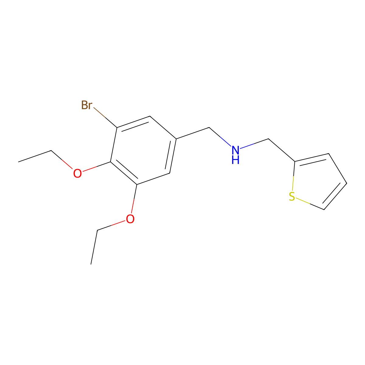 1-(3-bromo-4,5-diethoxyphenyl)-N-(thiophen-2-ylmethyl)methanamine molecular structure, CAS 774554-30-2