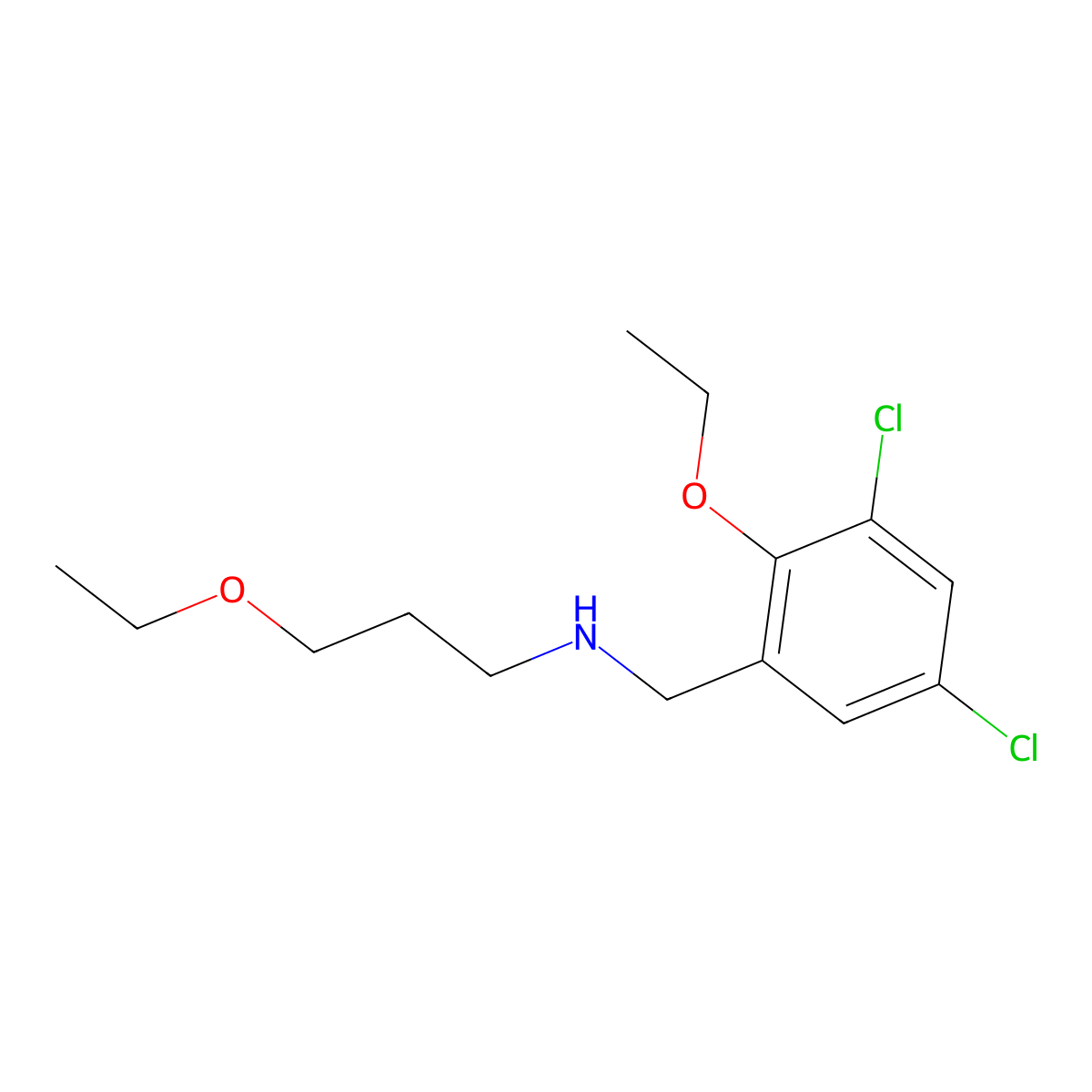 N-(3,5-dichloro-2-ethoxybenzyl)-3-ethoxypropan-1-amine molecular structure, CAS 774554-36-8
