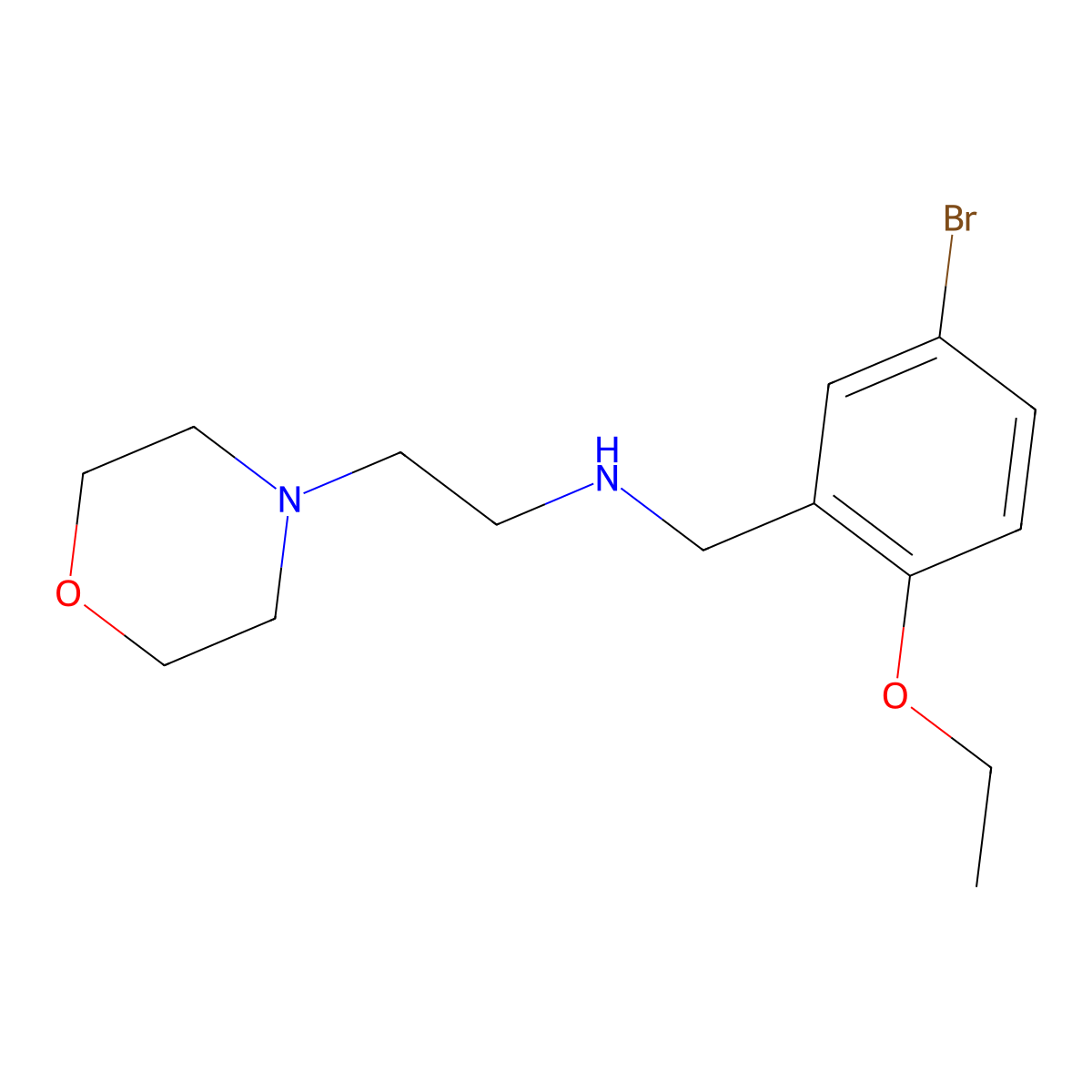 N-(5-bromo-2-ethoxybenzyl)-2-(morpholin-4-yl)ethanamine molecular structure, CAS 774555-81-6