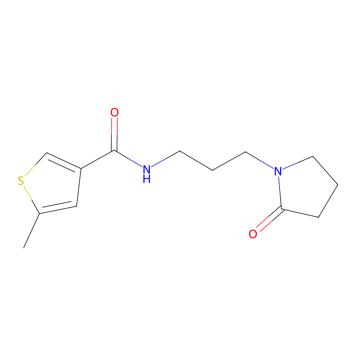 5-methyl-N-[3-(2-oxopyrrolidin-1-yl)propyl]thiophene-3-carboxamide molecular structure, CAS 774574-81-1