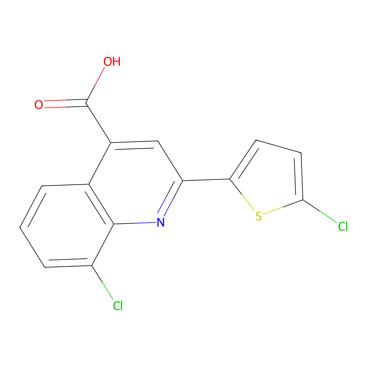 8-Chloro-2-(5-chlorothiophen-2-yl)quinoline-4-carboxylic acid molecular structure, CAS 774587-16-5