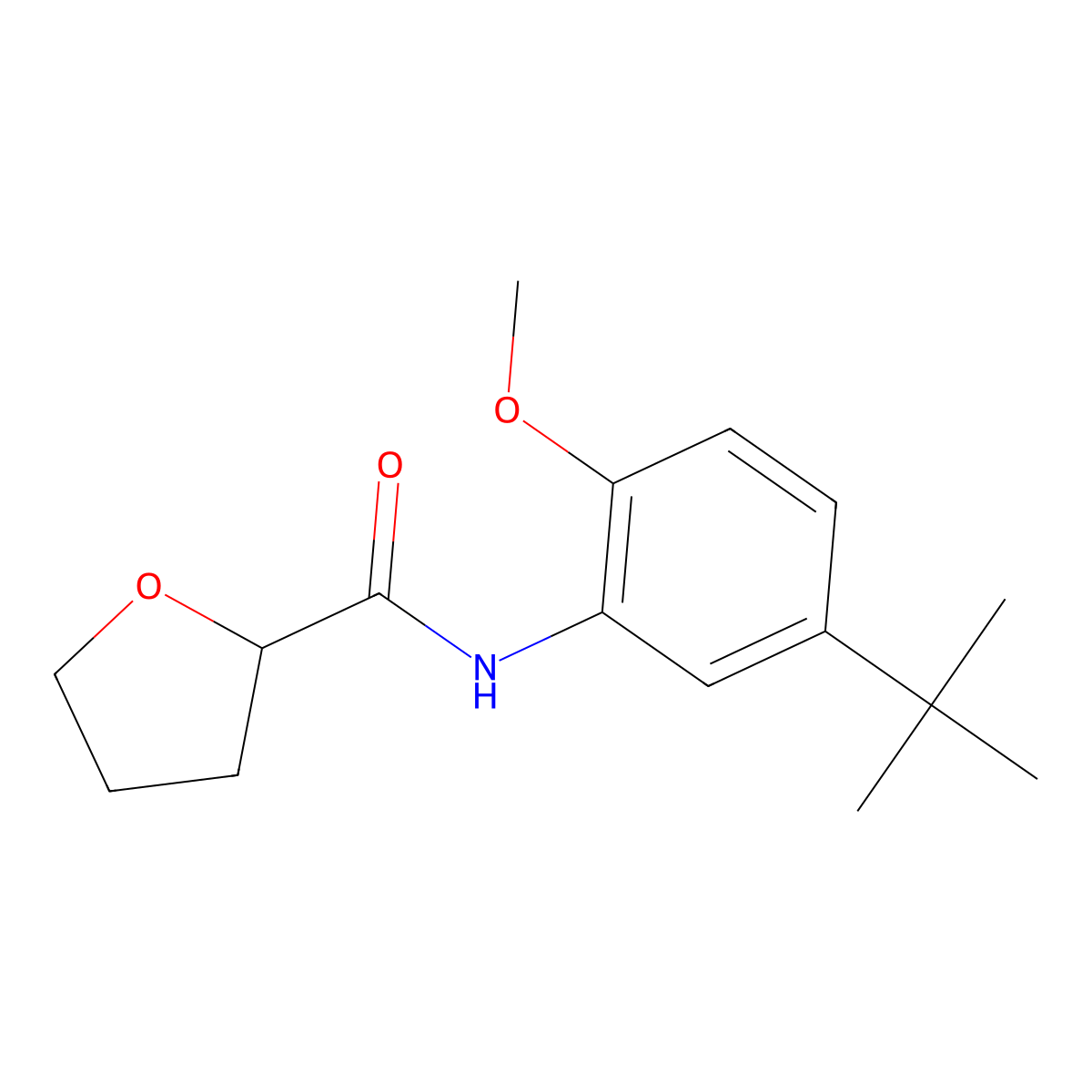 N-(5-tert-butyl-2-methoxyphenyl)oxolane-2-carboxamide molecular structure, CAS 774590-20-4