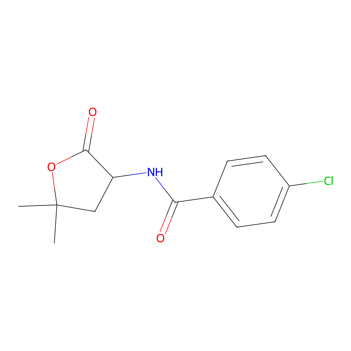 4-Chloro-N-(5,5-dimethyl-2-oxooxolan-3-yl)benzamide molecular structure, CAS 77694-28-1