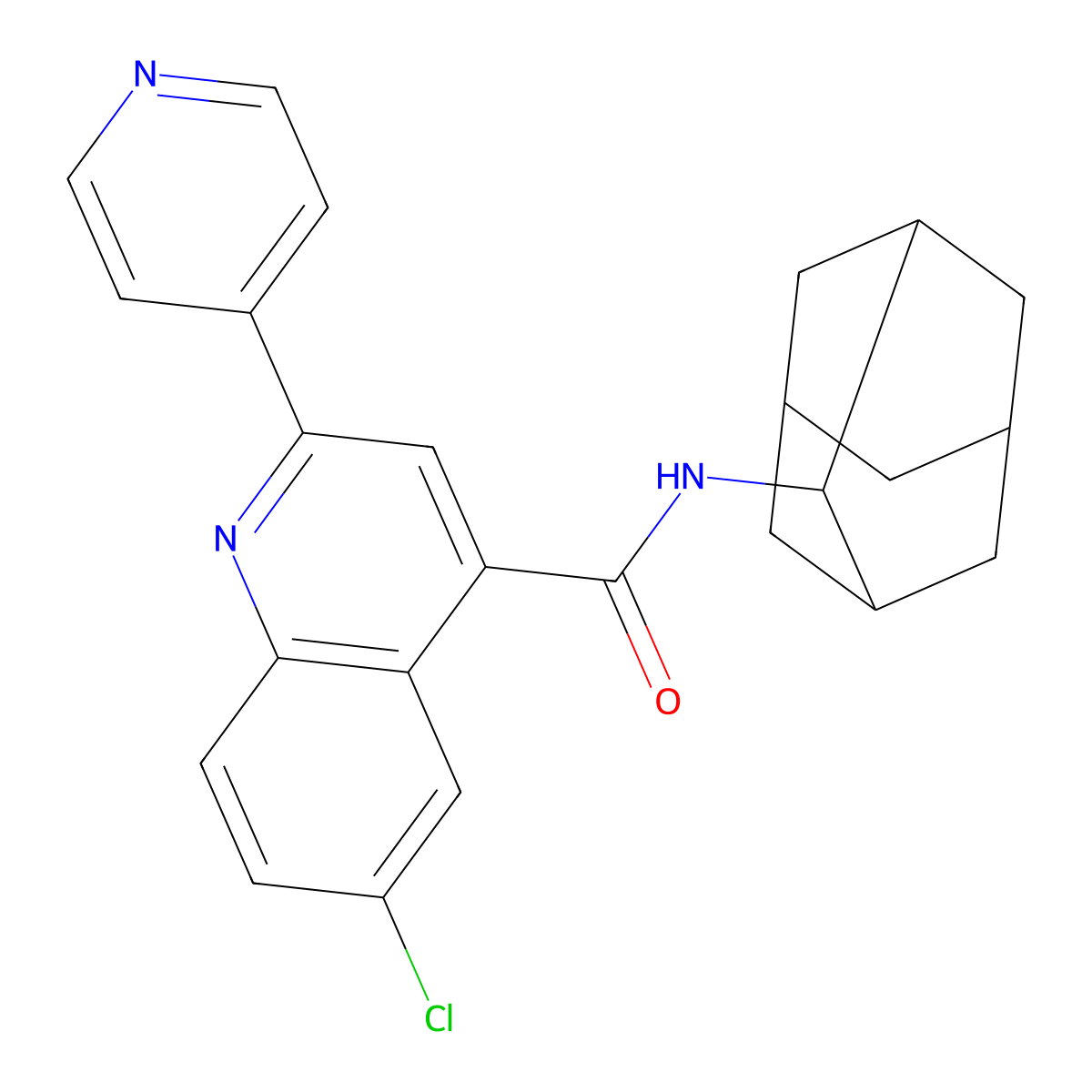 N-(2-adamantyl)-6-chloro-2-pyridin-4-ylquinoline-4-carboxamide molecular structure, CAS 777869-82-6