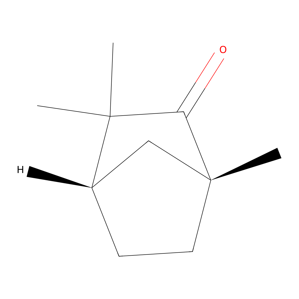 (-)-Fenchone molecular structure, CAS 7787-20-4