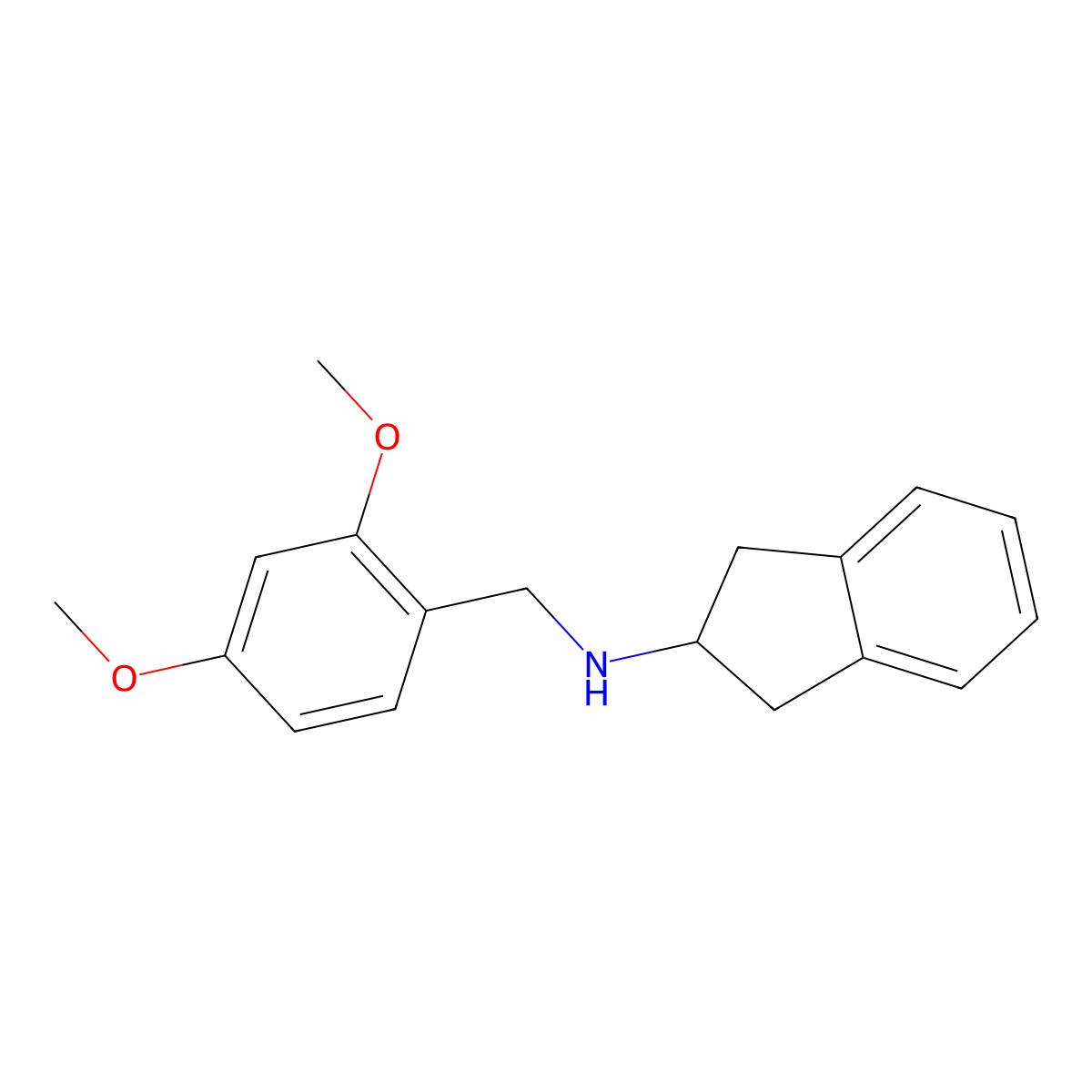 N-(2,4-dimethoxybenzyl)-2,3-dihydro-1H-inden-2-amine molecular structure, CAS 779292-68-1