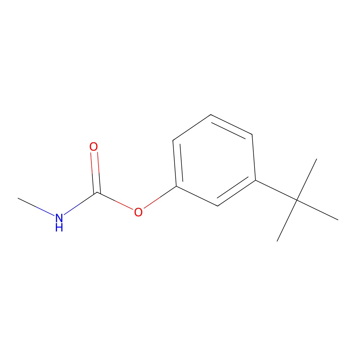 Phenol, 3-(1,1-dimethylethyl)-, 1-(N-methylcarbamate) molecular structure, CAS 780-11-0