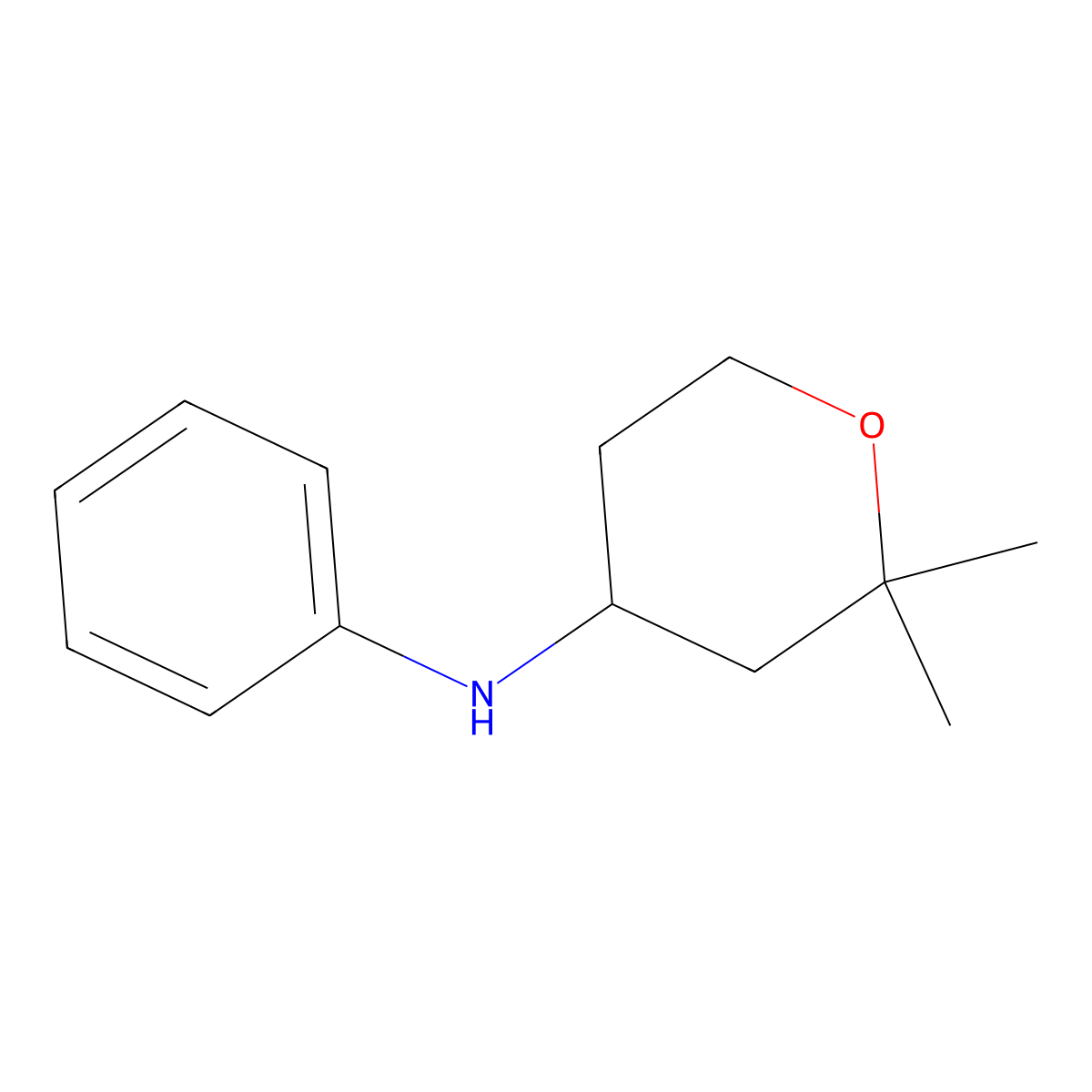 2,2-Dimethyl-N-phenyloxan-4-amine molecular structure, CAS 78028-31-6