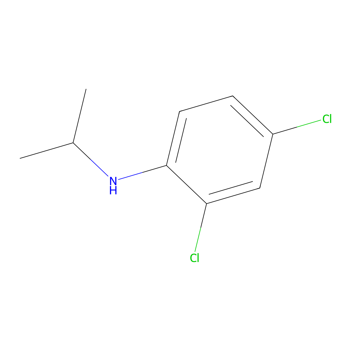 2,4-Dichloro-N-(propan-2-yl)aniline molecular structure, CAS 78235-06-0