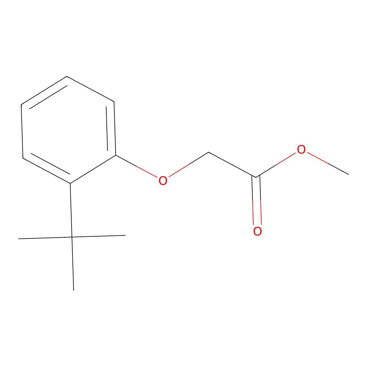 Methyl 2-(2-tert-butylphenoxy)acetate molecular structure, CAS 787575-52-4