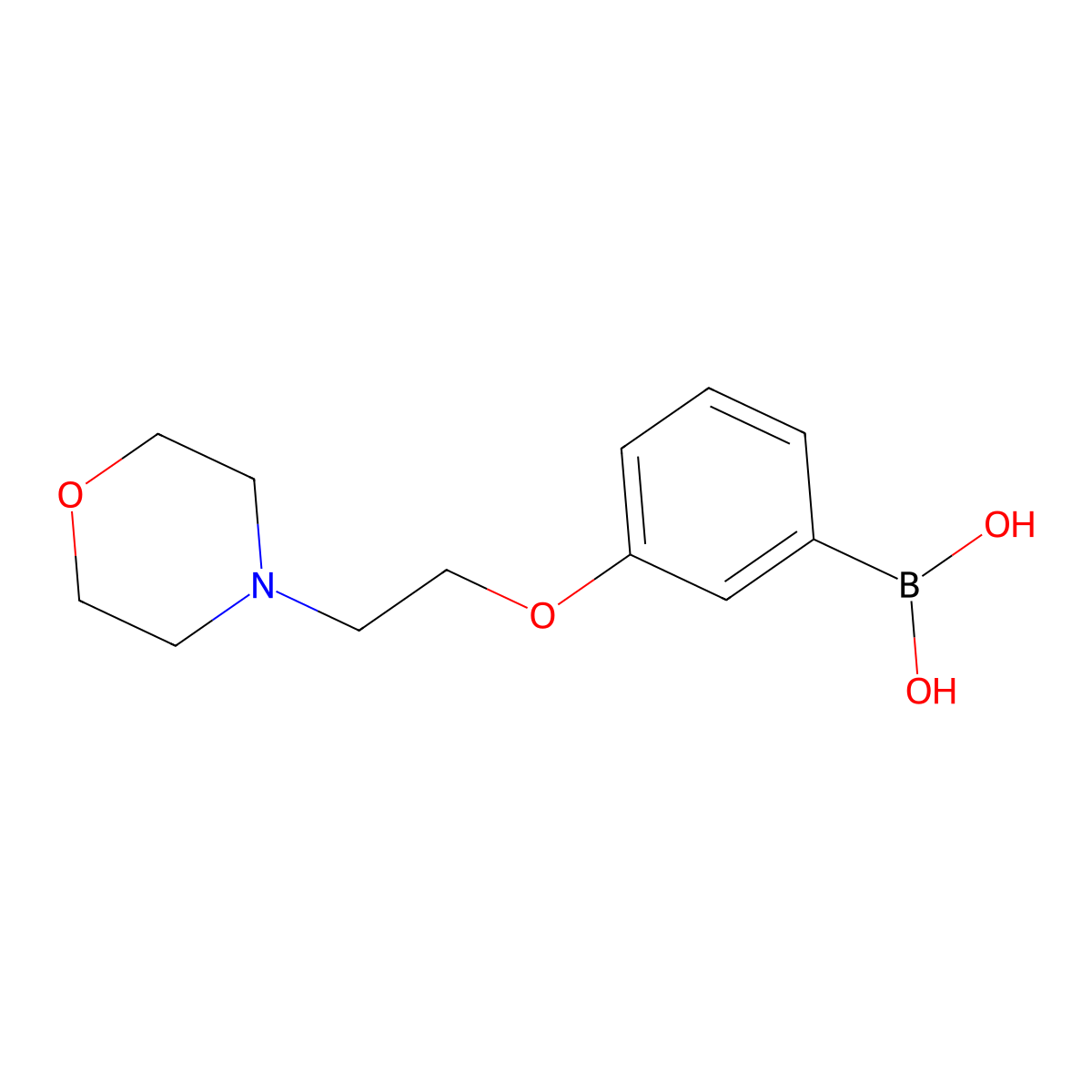 3-(2-Morpholinoethoxy)phenylboronic acid molecular structure, CAS 787591-35-9