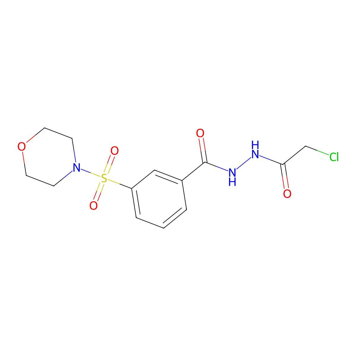N'-(2-chloroacetyl)-3-(morpholine-4-sulfonyl)benzohydrazide molecular structure, CAS 790232-25-6