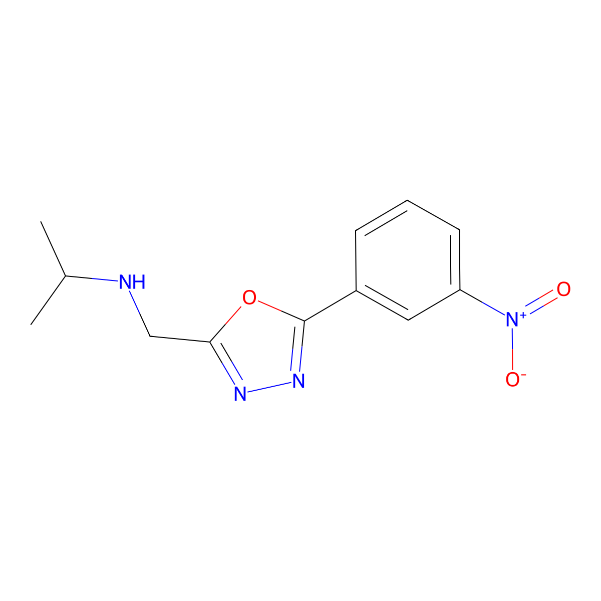 {[5-(3-Nitrophenyl)-1,3,4-oxadiazol-2-yl]methyl}(propan-2-yl)amine molecular structure, CAS 790232-42-7