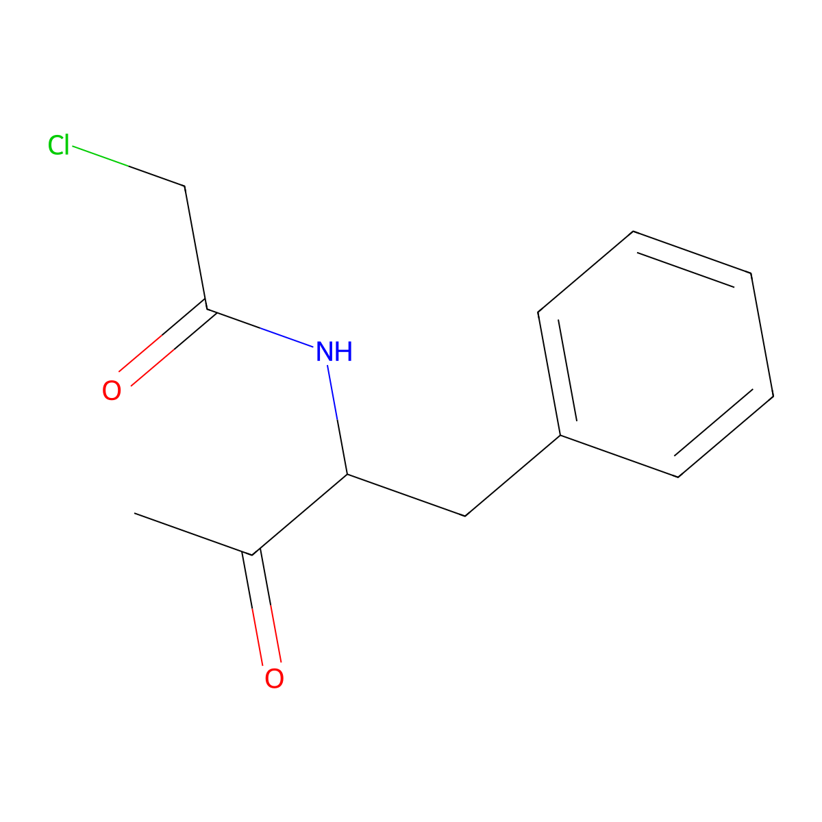 2-chloro-N-(3-oxo-1-phenylbutan-2-yl)acetamide molecular structure, CAS 790263-65-9
