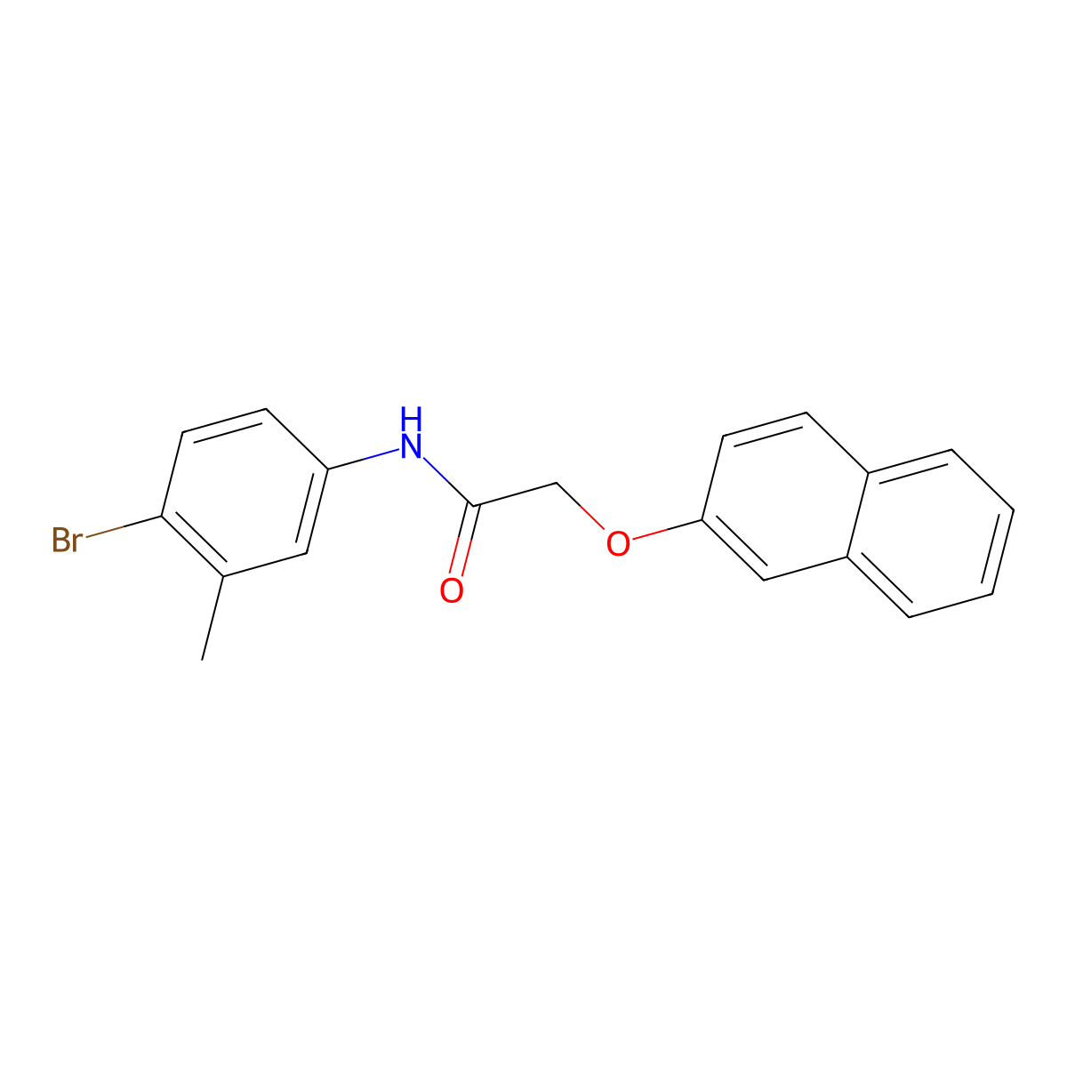 N-(4-bromo-3-methylphenyl)-2-naphthalen-2-yloxyacetamide molecular structure, CAS 791831-40-8