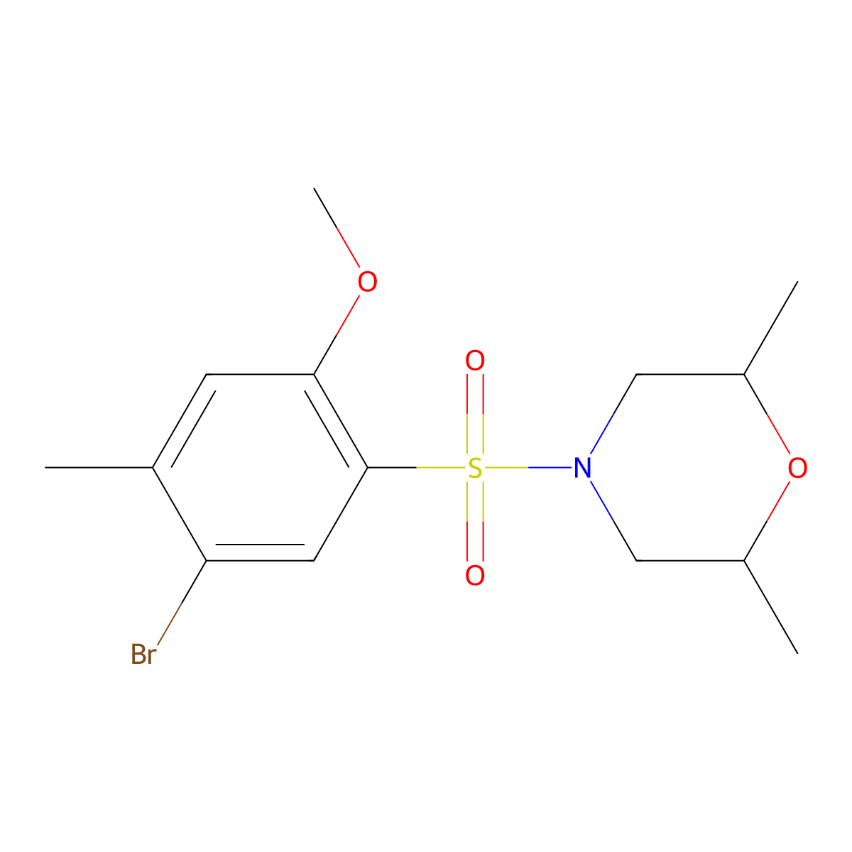 4-(5-Bromo-2-methoxy-4-methylphenyl)sulfonyl-2,6-dimethylmorpholine molecular structure, CAS 794548-41-7