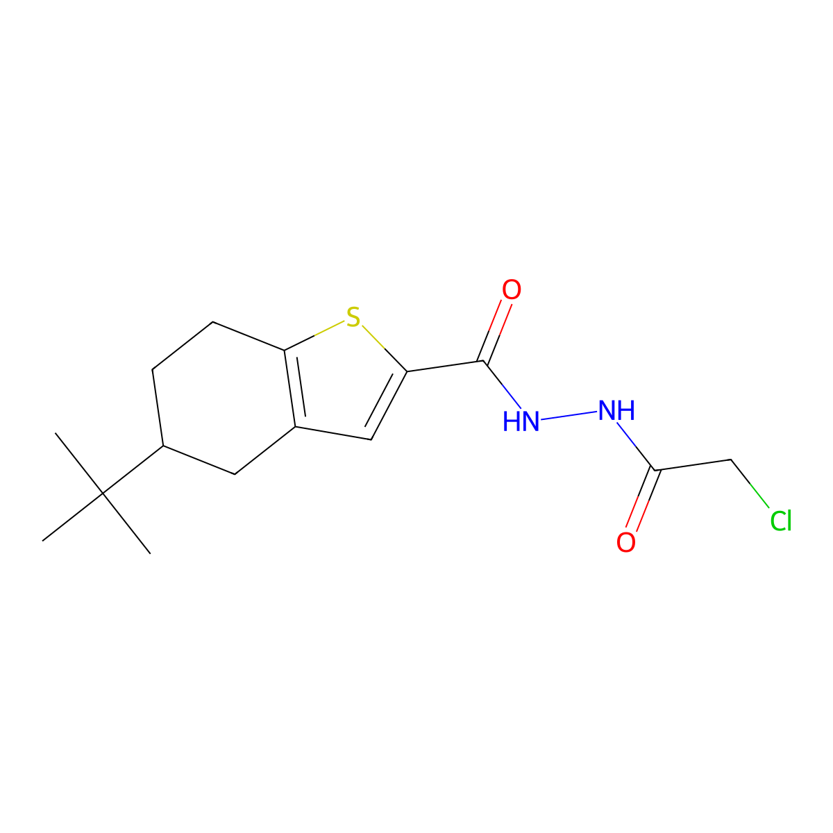 5-tert-butyl-N'-(2-chloroacetyl)-4,5,6,7-tetrahydro-1-benzothiophene-2-carbohydrazide molecular structure, CAS 794582-32-4