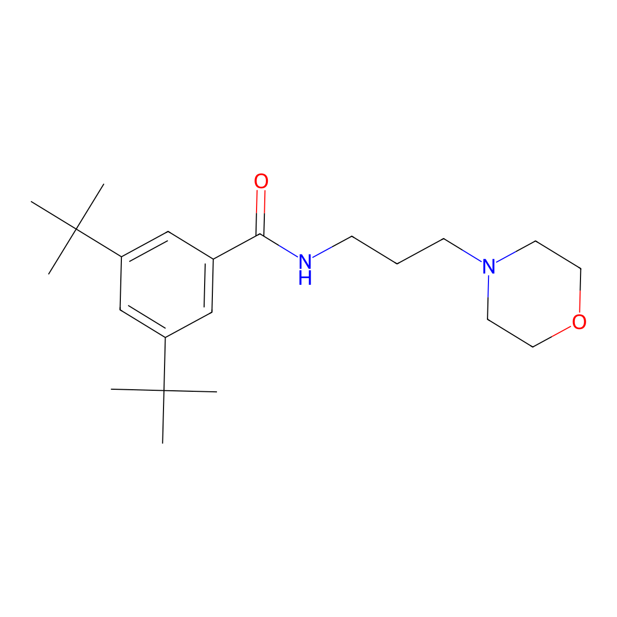 3,5-ditert-butyl-N-(3-morpholin-4-ylpropyl)benzamide molecular structure, CAS 796888-35-2