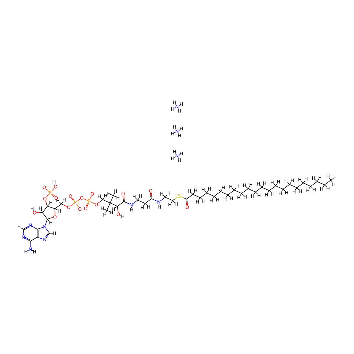 behenoyl Coenzyme A (ammonium salt) molecular structure, CAS 799812-95-6