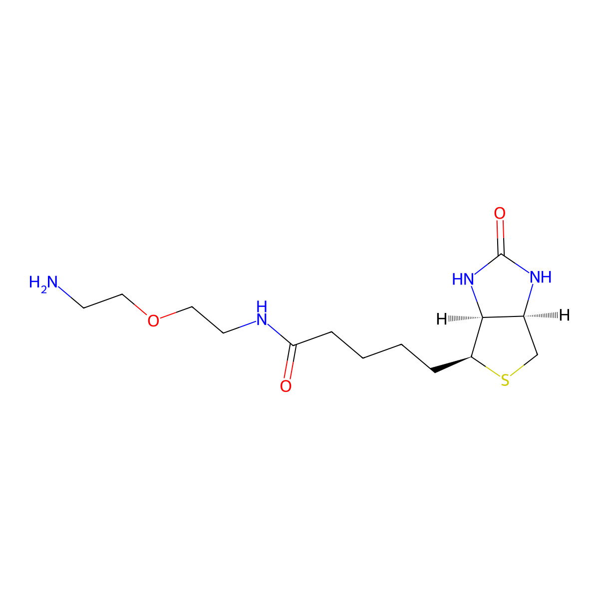 Biotin-PEG1-NH2 molecular structure, CAS 811442-85-0