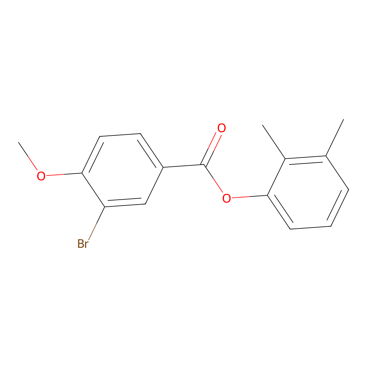 2,3-Dimethylphenyl 3-bromo-4-methoxybenzoate molecular structure, CAS 817568-39-1