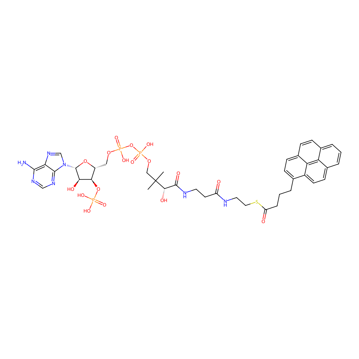 1-pyrenebutyryl-coenzyme A molecular structure, CAS 81923-89-9