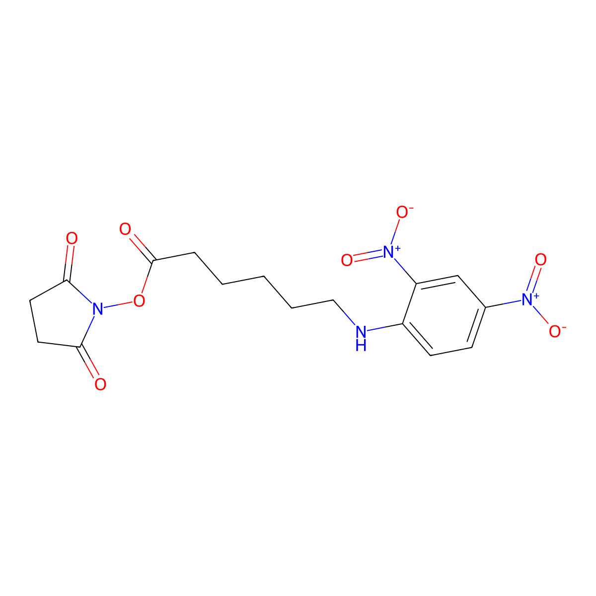 N-Succinimidyl 6-(2,4-Dinitroanilino)hexanoate molecular structure, CAS 82321-04-8