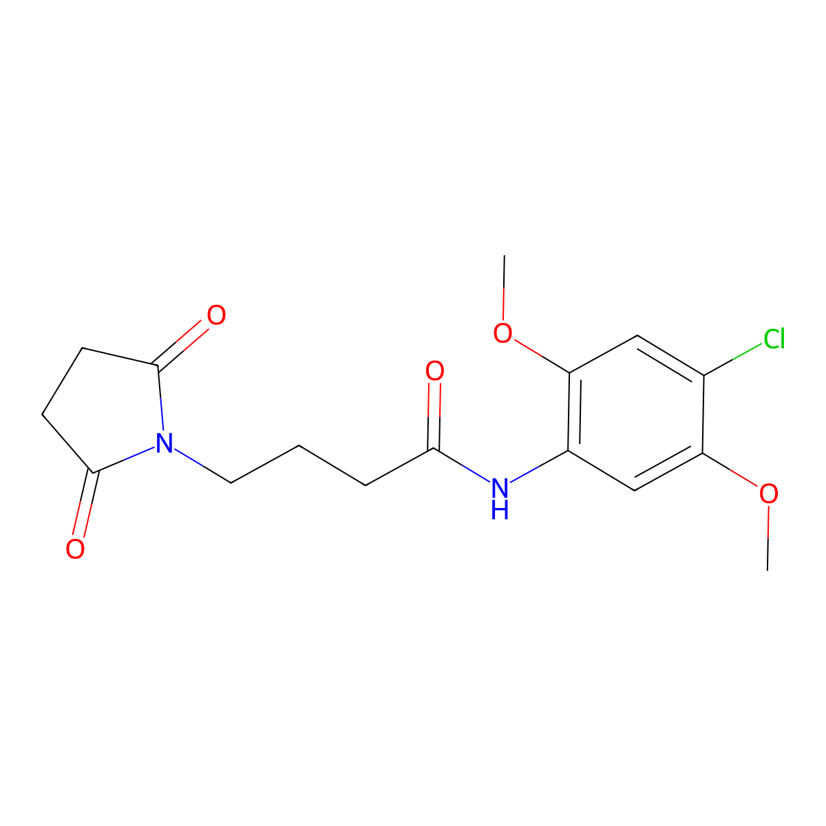 N-(4-chloro-2,5-dimethoxyphenyl)-4-(2,5-dioxopyrrolidin-1-yl)butanamide molecular structure, CAS 823830-31-5