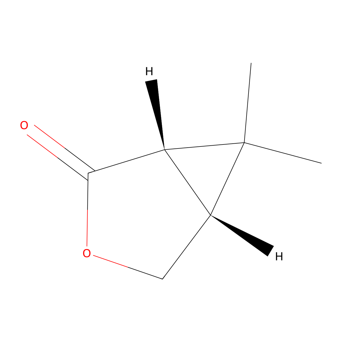 rac-(1R,5S)-6,6-dimethyl-3-oxabicyclo(3.1.0)hexan-2-one molecular structure, CAS 82442-72-6