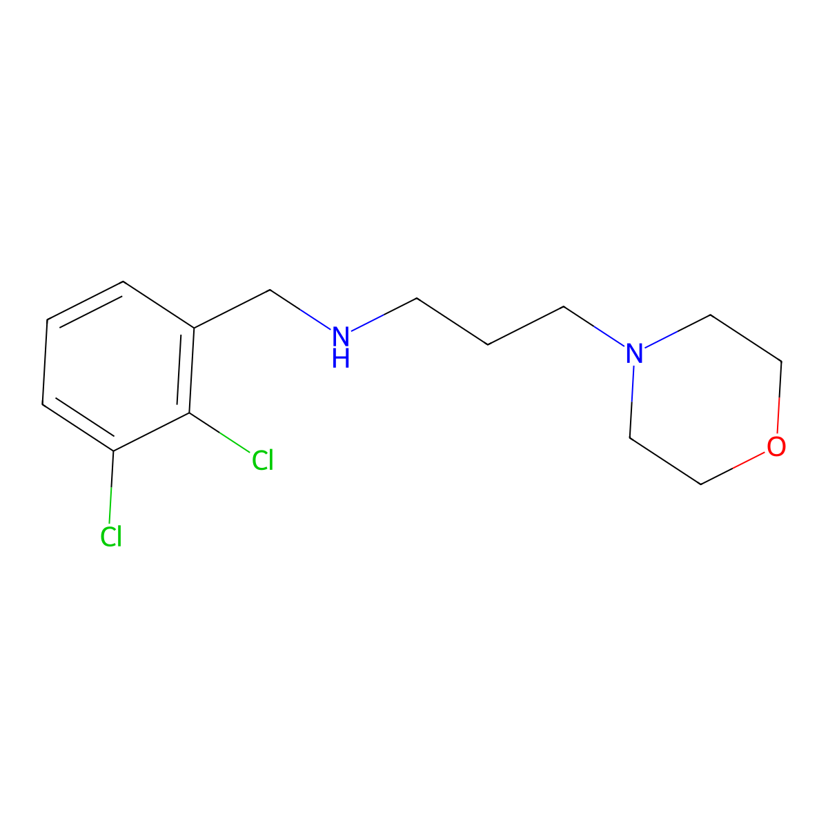 N-(2,3-dichlorobenzyl)-N-[3-(4-morpholinyl)propyl]amine molecular structure, CAS 827328-14-3
