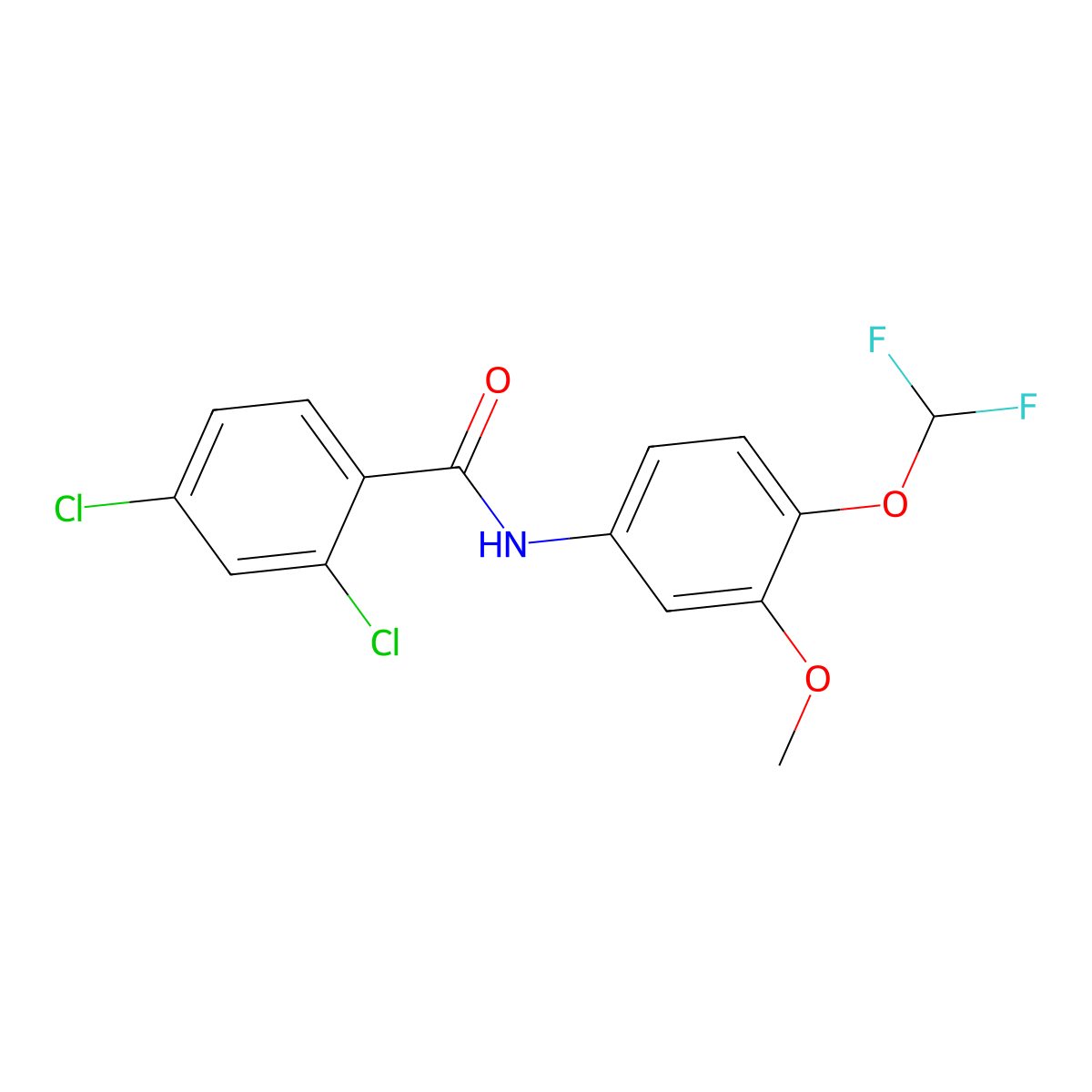 2,4-dichloro-N-[4-(difluoromethoxy)-3-methoxyphenyl]benzamide molecular structure, CAS 828298-12-0