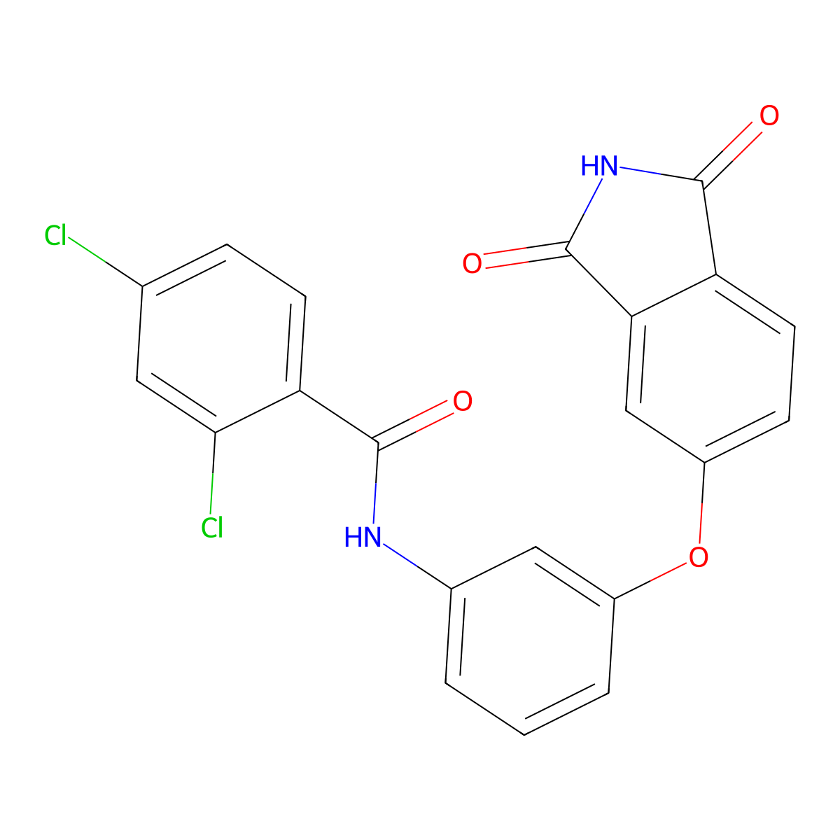 2,4-dichloro-N-[3-(1,3-dioxoisoindol-5-yl)oxyphenyl]benzamide molecular structure, CAS 830351-86-5