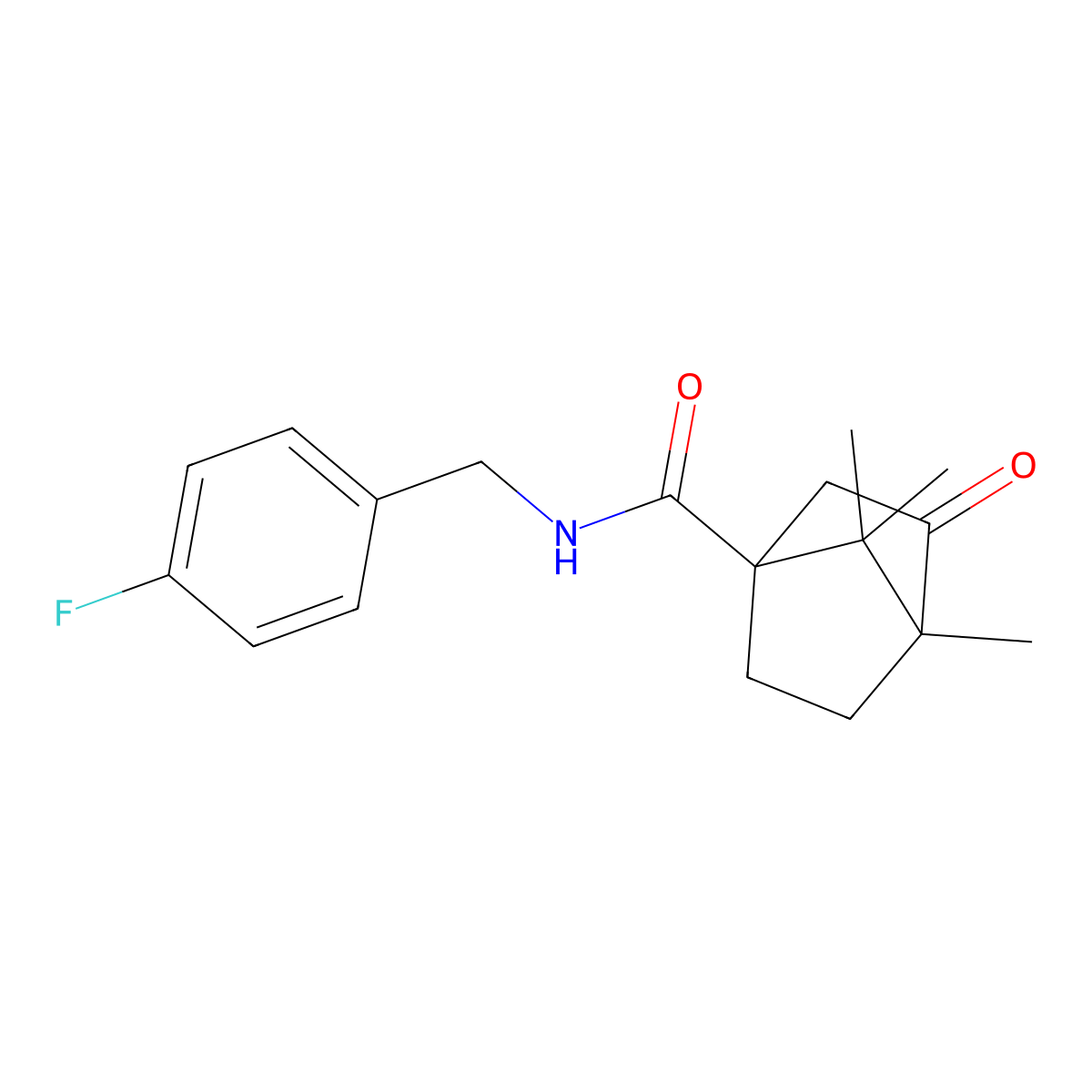 N-[(4-fluorophenyl)methyl](4,7,7-trimethyl-3-oxobicyclo[2.2.1]heptyl)carboxami de molecular structure, CAS 831233-69-3